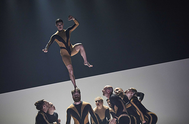 Svět si podmanili psi, buď vlkem! Letní Letnou obklíčí temperamentní smečka