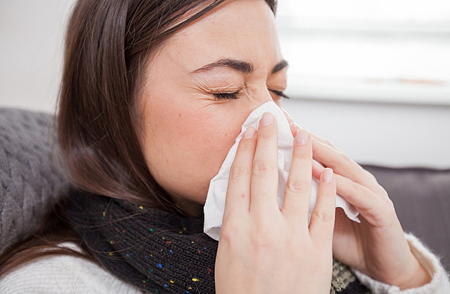 Ne ze psů, ale z bylinek. Proti rýmě a nachlazení vyzkoušejte psí sádlo