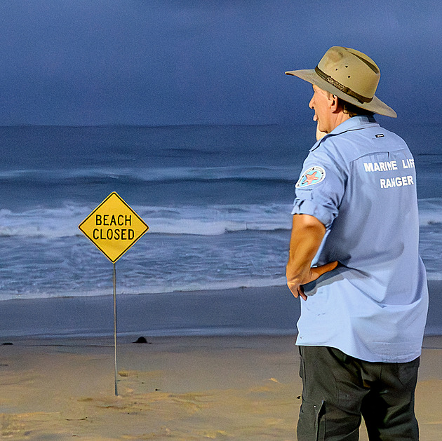 Čtvrtý útok za dva dny. Na východě Austrálie kvůli žralokům zavírají pláže