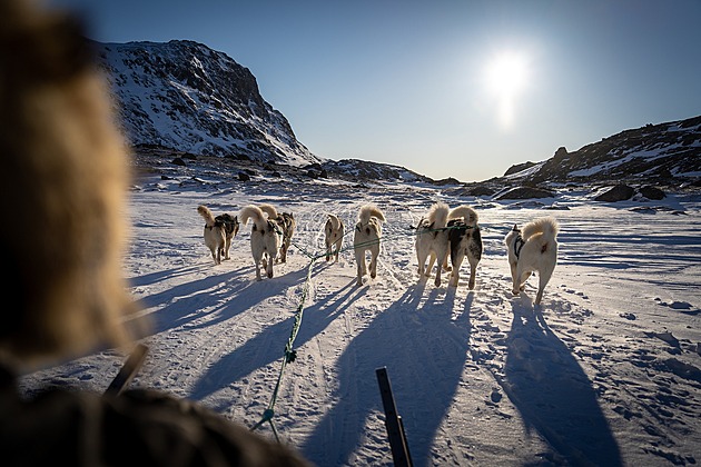 Evropa pečlivě kalibruje odvetné kroky na Trumpova cla. Ve hře jsou inzulín nebo čipy